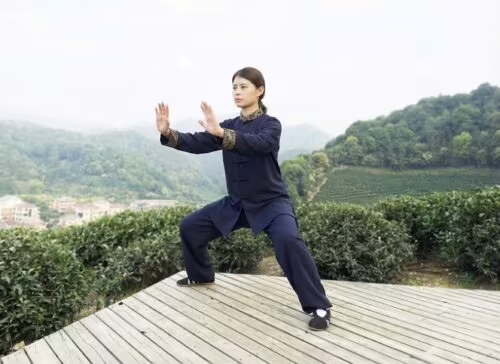 15 Mins Tai Chi for Beginners: Standing Meditation to Awaken the Tai Chi State